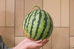 全网吃瓜官网,揭秘娱乐圈幕后真相，带你领略明星生活百态