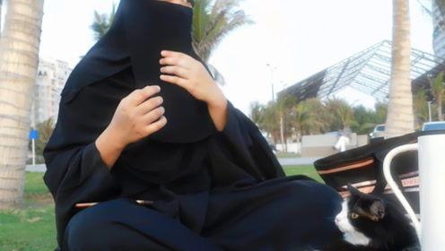 娱乐吃瓜君长腿