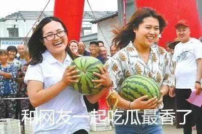 娱乐圈吃瓜吃不动